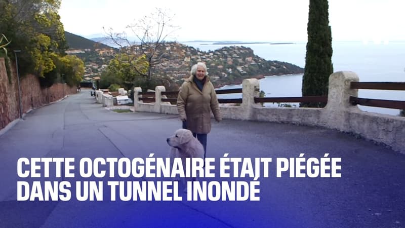 une octogénaire et son chien sauvés d'un tunnel inondé, par un habitant