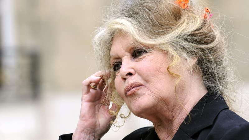 Brigitte Bardot accuse le Japon d'avoir lancé "une chasse à l'homme mondiale"