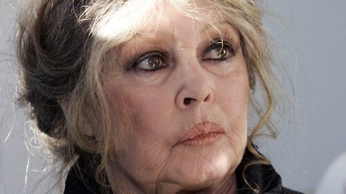 Brigitte Bardot interpelle le gouvernement sur sa « gestion calamiteuse » des loups