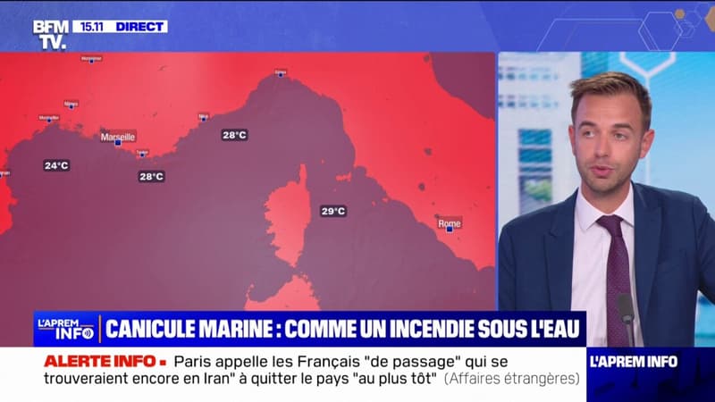 Canicule: la mer Méditerranée touchée par une vague de chaleur