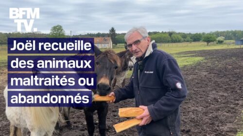 Ce septuagénaire a sauvé plus de 150 animaux maltraités ou abandonnés en créant son refuge dans la Sarthe
