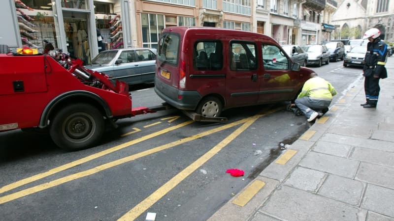 De la fourrière à la destruction en moins d'un mois: comment éviter cette situation?