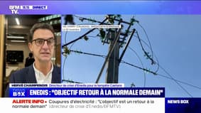 Coupures d'électricité: Enedis a "pour objectif de rétablir tout le monde demain", annonce le directeur de crise Hervé Champenois