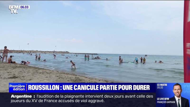 Glaces, bouteilles d'eau, plage... Les touristes et locaux s'adaptent aux températures caniculaires dans le Roussillon