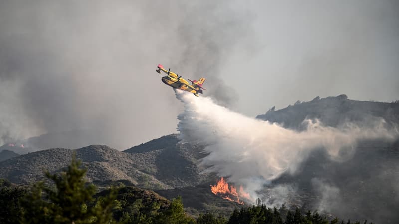 Italie, Bulgarie, Grèce, Albanie... Les images des incendies qui frappent le sud de l'Europe