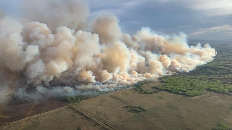 La pollution de l'air due aux incendies est liée à 1,5 million de morts par an dans le monde