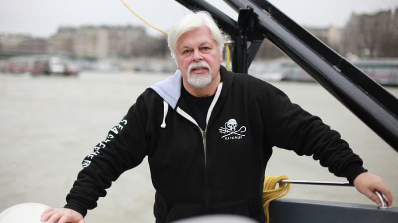 Le défenseur des baleines Paul Watson maintenu en détention pendant 28 jours supplémentaires