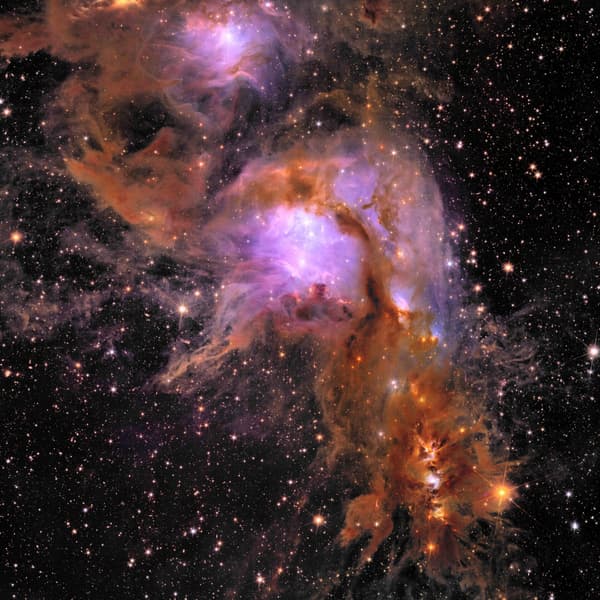 L'image de la pouponnière d’étoiles Messier 78, prise par le télescope Euclid et publiée le 23 mai 2024 par l'ESA.