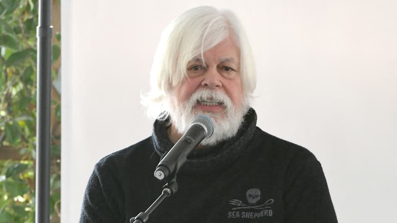 L'écologiste Paul Watson a demandé l'asile politique en France à Emmanuel Macron