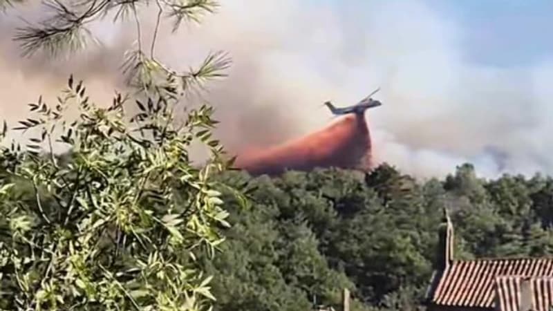 Nouvel incendie dans l'Hérault, au moins 10 hectares de pinède brûlés à Saint-Privat