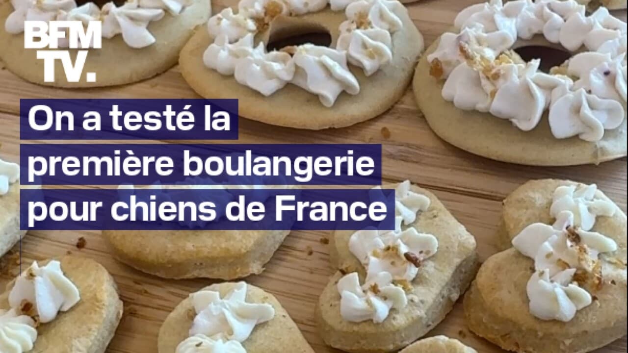 On a  testé la première boulangerie pour chien qui vient d’ouvrir à Paris