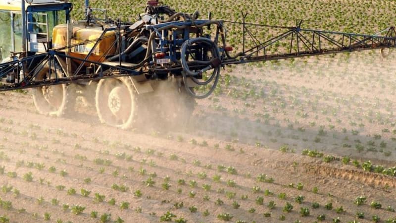 "Je demande pardon": le combat de cet agriculteur repenti des pesticides et engrais chimiques