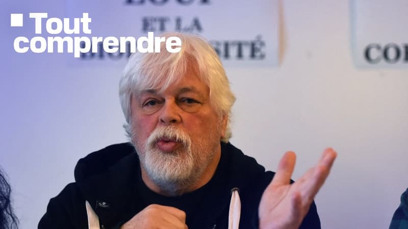 TOUT COMPRENDRE. Pourquoi le militant écologiste Paul Watson a été arrêté au Groenland