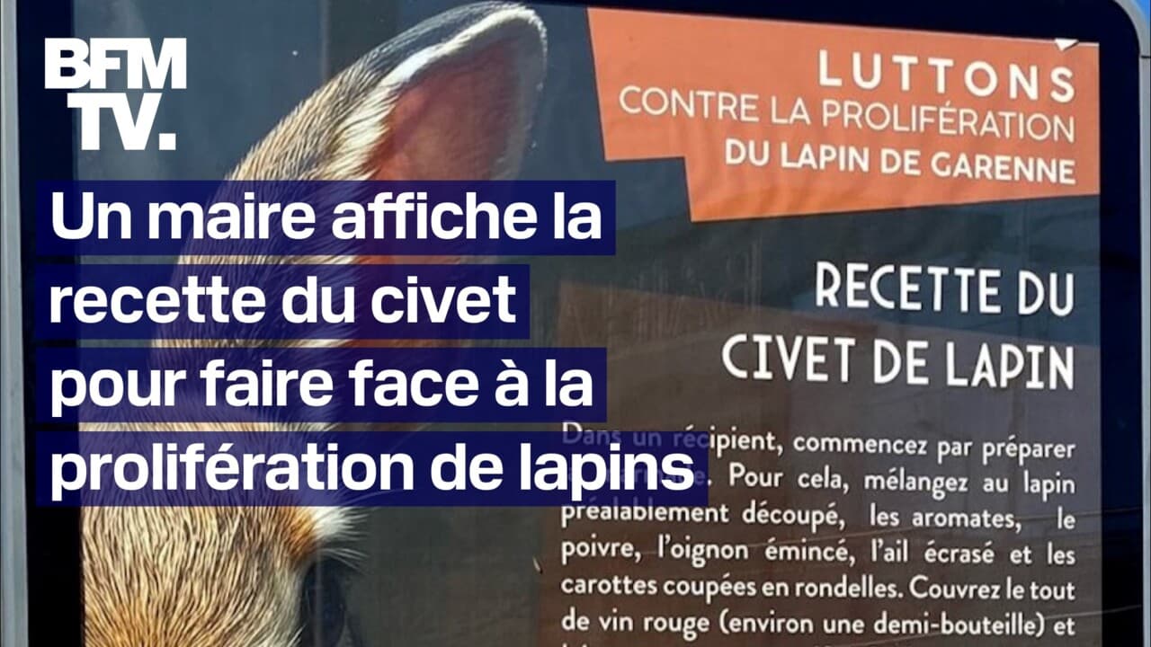 Un maire affiche la recette du civet sur des panneaux publicitaires pour alerter contre la prolifération des lapins