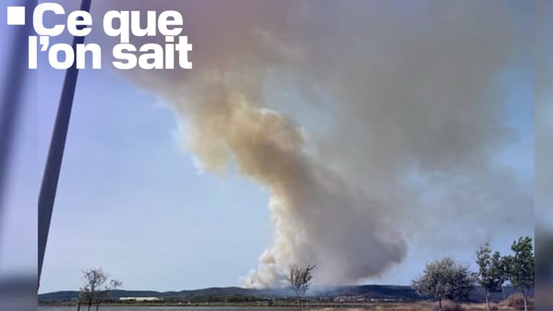 ce que l'on sait sur les deux feux de forêt qui ont brûlé plus de 340 hectares