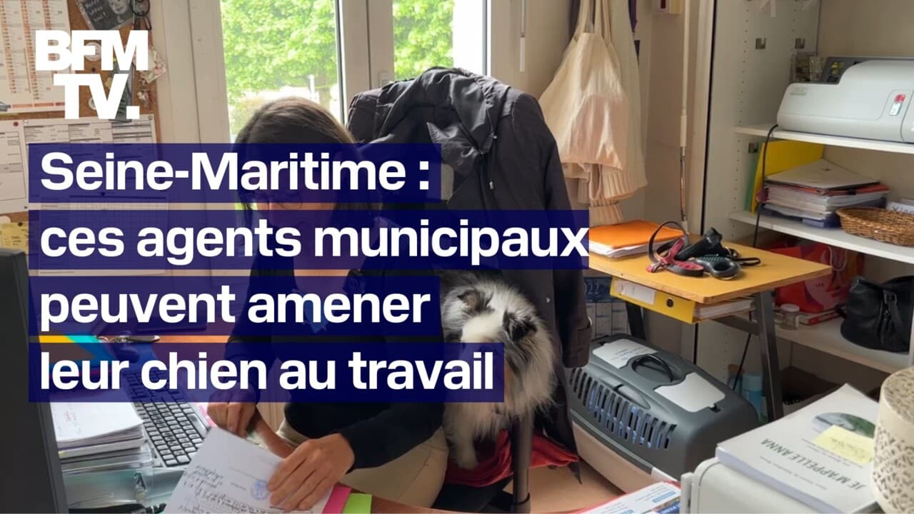 ces agents municipaux peuvent travailler avec leur chien