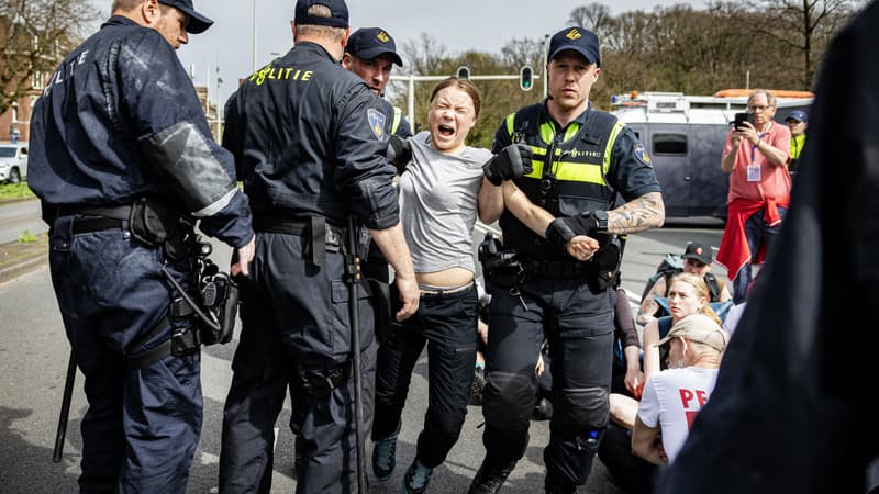 la militante écologiste arrêtée par la police néerlandaise lors d'une manifestation à La Haye