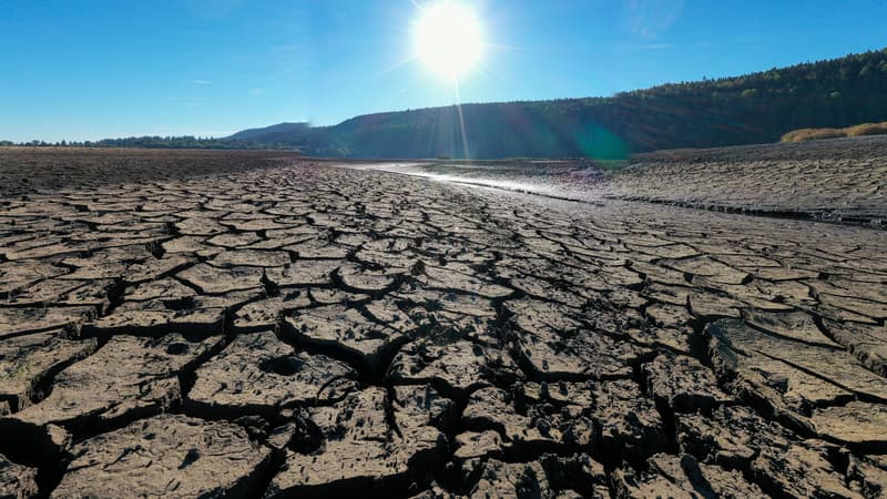 le Haut conseil pour le climat s'inquiète du retard de certains textes importants