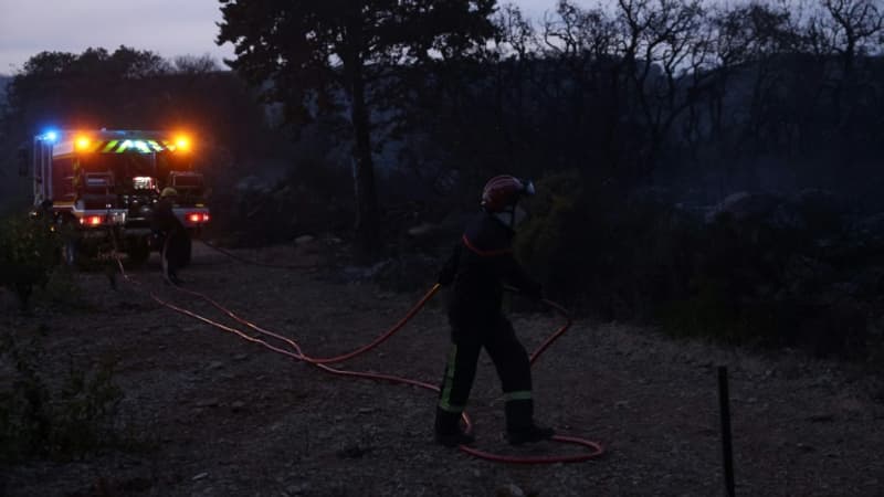 le feu déclaré près de Frontignan est désormais fixé