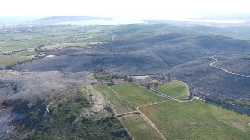 les images des dégâts du feu de forêt qui a ravagé 350 hectares