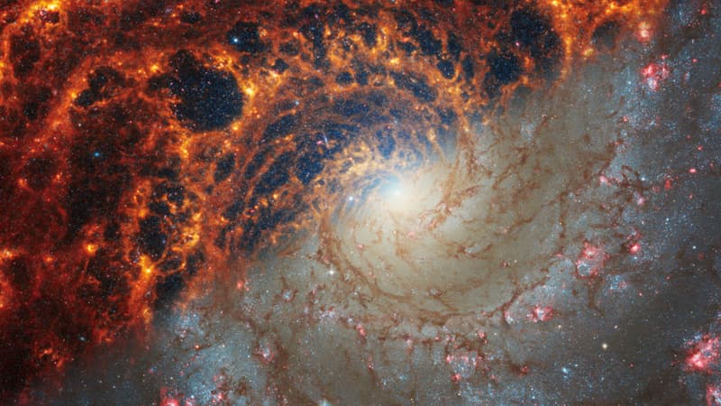 l'une des plus vieilles galaxies de l'Univers observée grâce au télescope James Webb