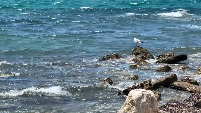 plus d'un tiers de ses zones humides menacées par la montée des eaux