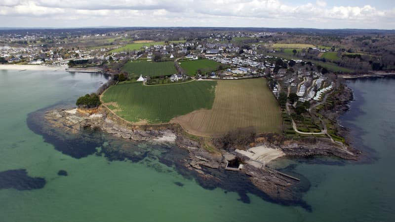 plusieurs plages fermées après la découverte de centaines de congres échoués