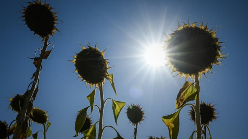 quel temps pour la dernière semaine des vacances?