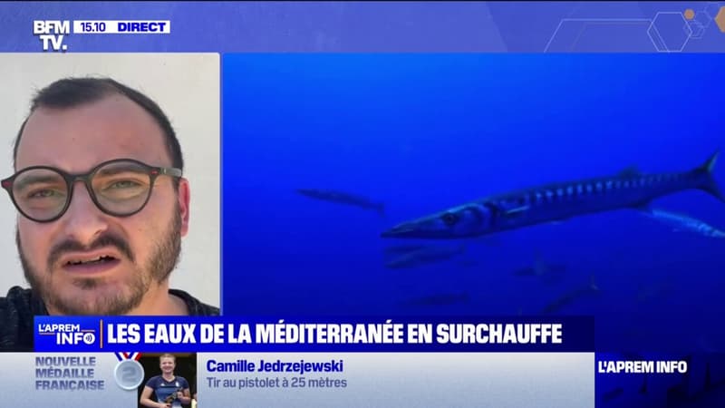 "La température de la mer Méditerranée va un peu baisser au cours des prochains jours", explique Loïc Spadafora, météorologue