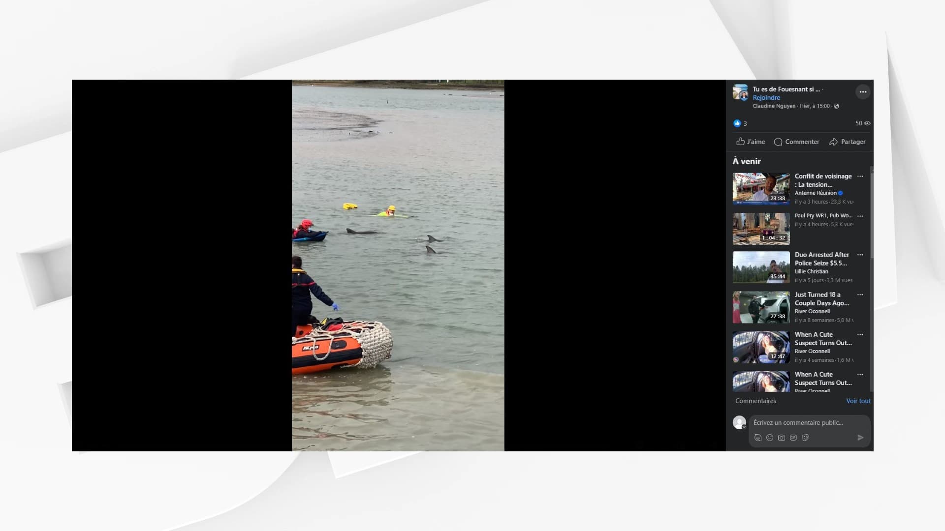 trois dauphins en difficulté secourus par des pompiers à Fouesnant