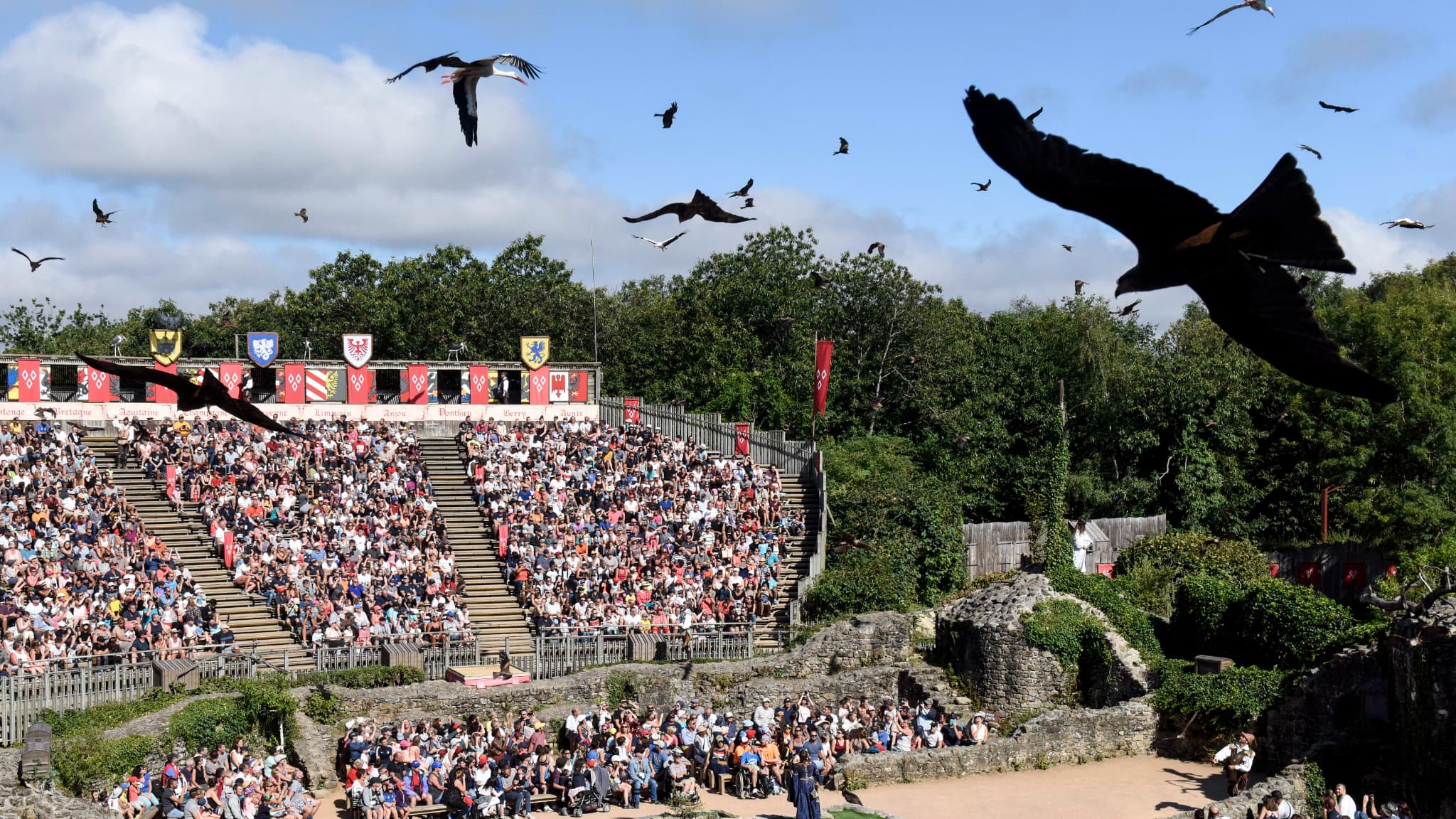 un faucon du Puy du Fou s'échappe en plein spectacle, il est retrouvé à 360 kilomètres