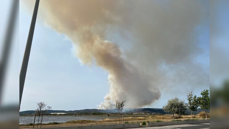 un important incendie se déclare près d'une autoroute, 150 pompiers mobilisés