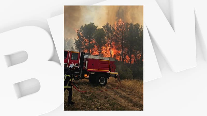 un incendie brûle plus de 30 hectares de forêt, 270 sapeurs-pompiers mobilisés