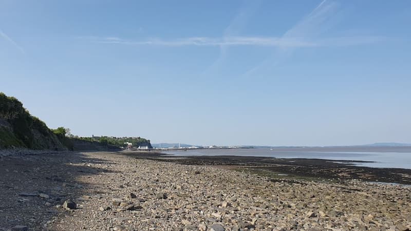 une fillette de 10 découvre des empreintes de dinosaure sur une plage