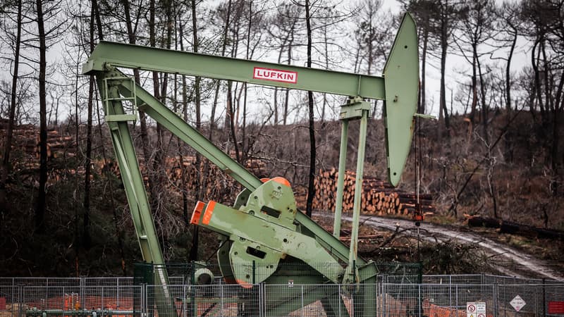 une manifestation organisée contre de nouveaux forages pétroliers près d'Arcachon