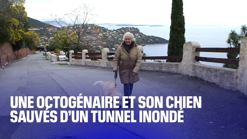 une octogénaire et son chien sauvés d’un tunnel inondé, par un habitant du quartier