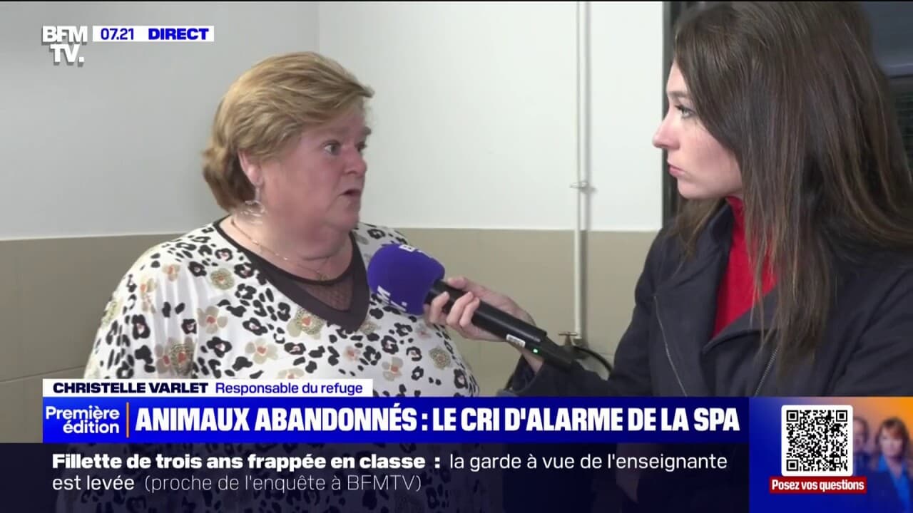 une responsable d'un refuge pour animaux témoigne d'une hausse des abandons